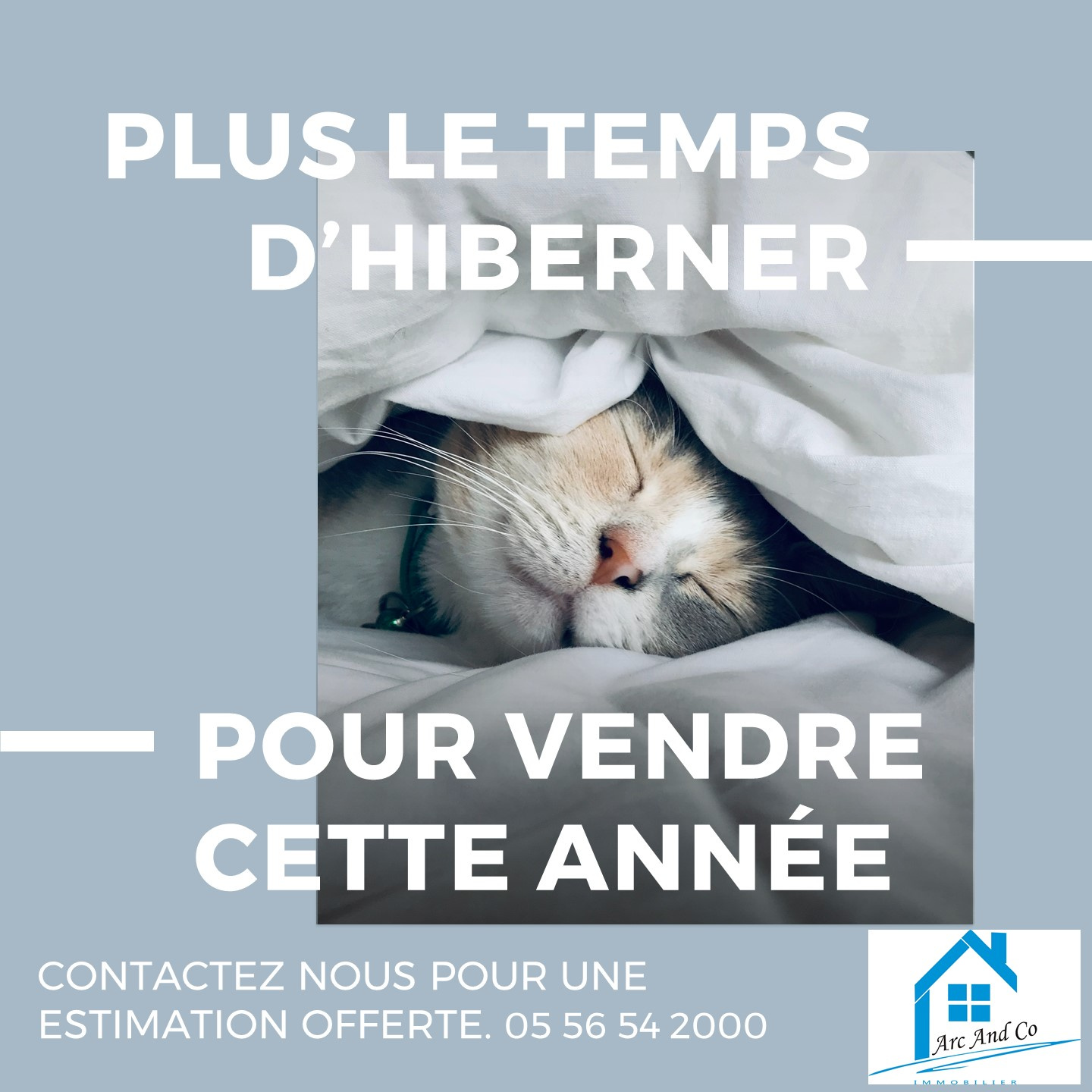Plus le temps d'hiberner pour vendre ...